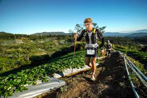 BIB: 9042
                            <button type="button" onclick="openModal(19111471)" class="btn btn-primary btn-sm float-right btn-popup" data-toggle="modal" data-target=".modal-high-quality">
                        <i class="fas fa-shopping-cart"></i> Add to Cart
                    </button>
                                            <button type="button" onclick="isThisMe(19111471, true)" class="btn btn-success btn-sm float-right btn-popup btn-isme hidden" data-toggle="tooltip" data-placement="bottom" title="นี่คือรูปของคุณใช่ไหม คลิกที่นี่เพื่อเอาเข้าอัลบั้ม">
                        <i class="fas fa-plus"></i> Add to album
                    </button>
                    <button type="button" onclick="isThisMe(19111471, false)" class="btn btn-warning btn-sm float-right btn-popup btn-isnotme hidden">
                        <i class="fas fa-ban"></i> Remove from album
                    </button>